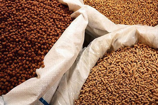 Tăng gần 100%, thức ăn gia súc bất ngờ thành “mỏ vàng” xuất khẩu chỉ sau 2 tháng