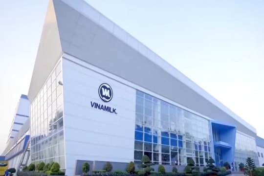 Tiền tiếp tục chảy mạnh vào túi của cổ đông Vinamilk (VNM)
