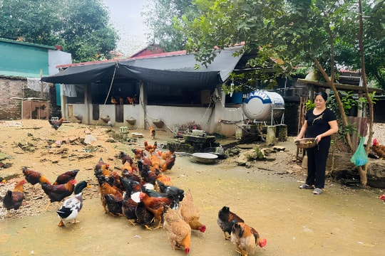 Người nông dân Cao Bằng làm giàu từ ruộng, vườn và tri thức