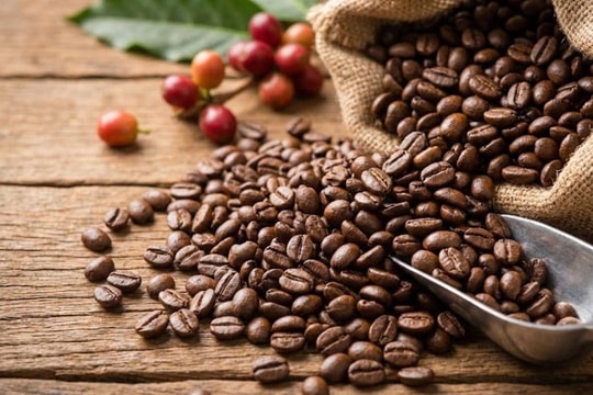 Giá cà phê hôm nay 3/4/2026: Nội địa tiệm cận mốc 90.000 đồng/kg