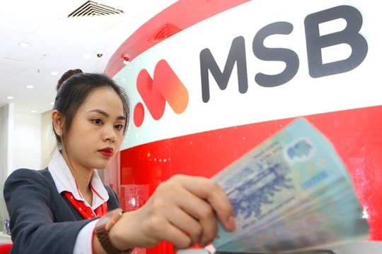 Khó giải bài toán đầu ra cho 31 triệu cổ phiếu MSB trong tay doanh nghiệp nhà ROX Group