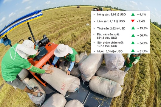 Quý I/2026: Xuất khẩu nông, lâm, thủy sản đạt gần 17 tỷ USD