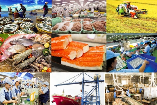 Đa dạng hóa thị trường xuất khẩu: "Chìa khóa" giúp nông sản Việt giữ đà tăng trưởng năm 2026