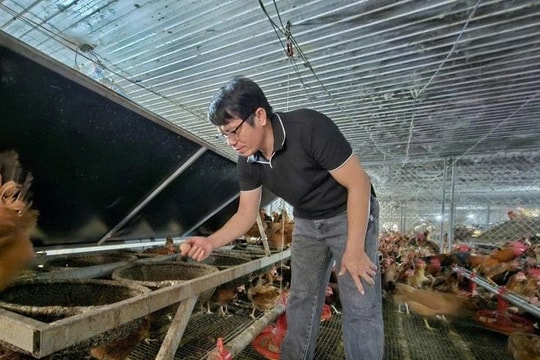 Bỏ công việc lương cao, một nông dân Quảng Trị xây dựng trang trại nuôi thứ quen thuộc, doanh thu hiện tại gần 9 tỷ đồng/năm