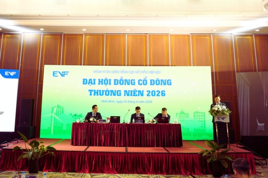 Không chia cổ tức, EVNFinance (EVF) đặt mục tiêu tăng trưởng lợi nhuận 20%