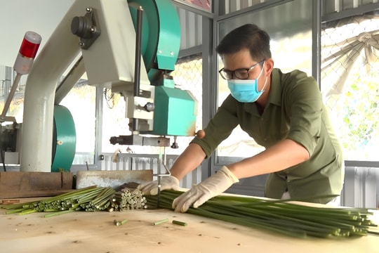 Khởi nghiệp từ thứ mọc hoang, anh nông dân Đồng Tháp biến thành sản phẩm đi ra thế giới