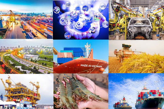 Phê duyệt Chương trình vươn ra thị trường quốc tế giai đoạn 2026 - 2030
