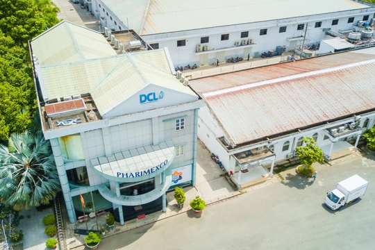 Cổ phiếu bất ngờ rơi tự do từ đỉnh, chuyện gì đang xảy ra tại Dược phẩm Cửu Long (DCL)?