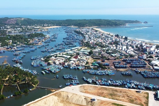 Vùng đất ven biển tại Gia Lai đạt giá trị sản xuất hàng trăm tỷ, đang mở ra hướng phát triển đa ngành