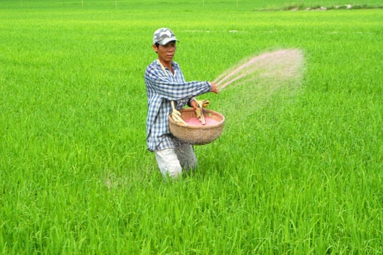 Lộ diện cổ phiếu hưởng lợi rõ nét nhất trong chu kỳ hồi phục của ngành phân bón