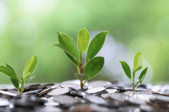 Loạt doanh nghiệp sắp trả quyền lợi cho cổ đông, có đơn vị chi tới 130%