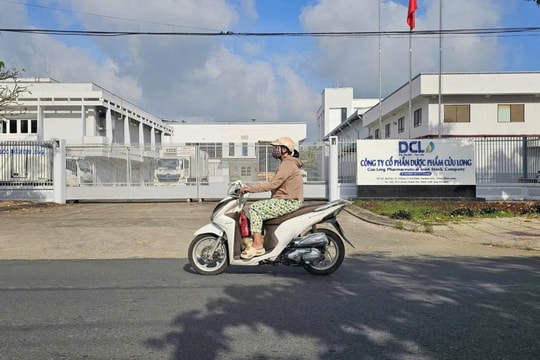 Cổ phiếu DCL giảm sâu khi kế hoạch tăng trưởng không còn đủ sức nâng đỡ kỳ vọng