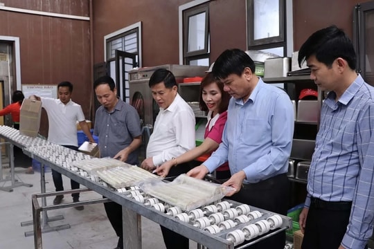 Doanh nghiệp đầu tiên tại Phú Thọ đưa mía cấp đông vào thị trường Hàn Quốc