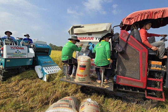 Doanh nghiệp miền Tây tạo dấu ấn với máy cơ khí nông nghiệp công nghệ cao