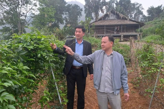 Bí quyết kiếm tiền tỷ của người nông dân Thái Nguyên