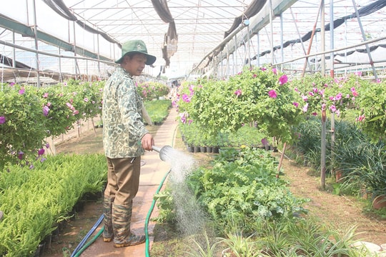 Bí quyết của những mô hình nông nghiệp cho thu nhập tiền trăm, tiền tỷ ở Hưng Yên