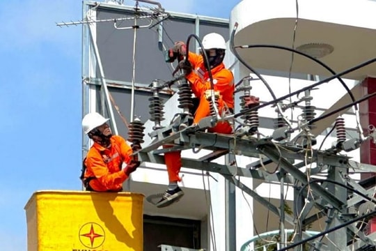 Điện lực miền Trung tính chấm dứt hoạt động một Ban QLDA không tự cân đối tài chính