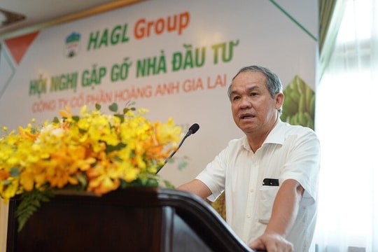Vừa xong đại hội, bầu Đức tiếp tục muốn nâng sở hữu, tự tin về khả năng sinh lời của cổ phiếu HAG
