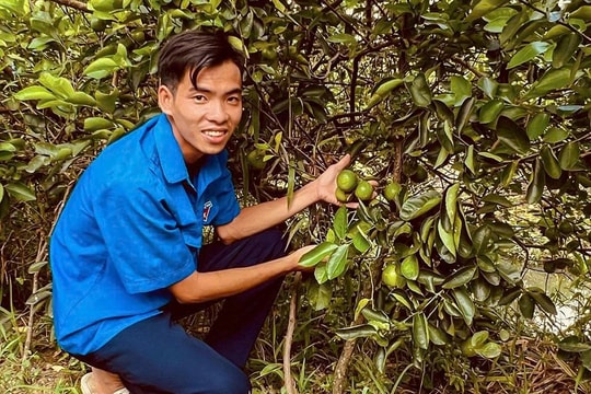 Chỉ 2 công đất nhưng tạo 2 dòng tiền, cách làm nông này đang lan rộng ở Cần Thơ