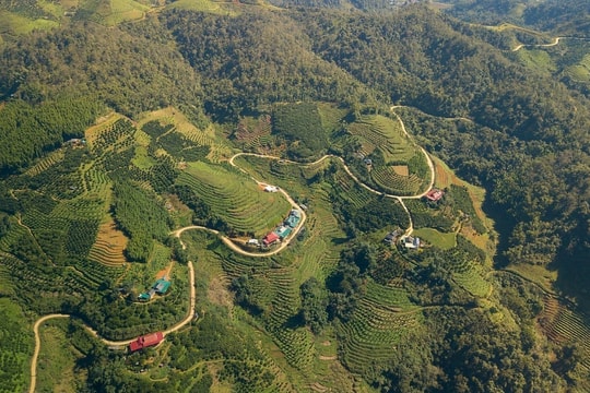 Có một thung lũng 1.000m được gọi là “vùng đất trường thọ” giữa đại ngàn miền Bắc