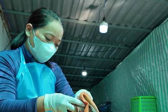 Người nông dân ở An Giang tìm hướng làm giàu với thứ đặc sản "trơn trượt"