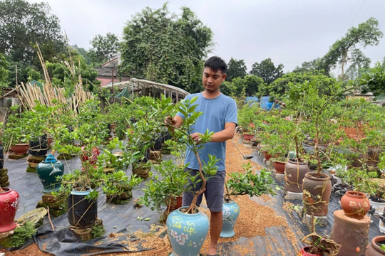 Tay trắng sau một lần mất sạch vốn, nông dân Thanh Hóa làm lại với mô hình “vừa nuôi vừa trồng”, mỗi năm thu ít nhất 300 triệu