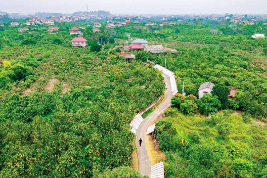 Bắc Ninh nâng cao thu nhập người dân