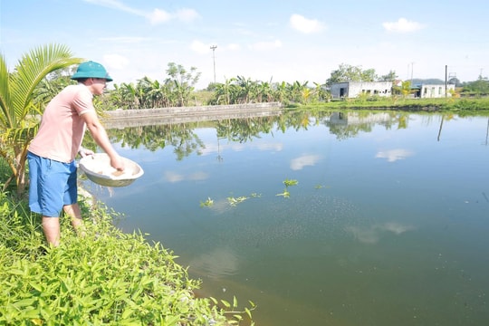 Doanh thu trăm triệu, người nông dân Nghệ An đang làm giàu bằng mô hình đặc biệt gì?