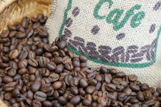 Giá cà phê hôm nay 4/5/2026: Trong nước xuống dưới 87.000 đồng/kg