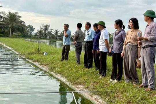 Nông dân Hải Phòng chuyển đổi mô hình nuôi cá công nghệ cao, thu tới 700 triệu đồng/ha
