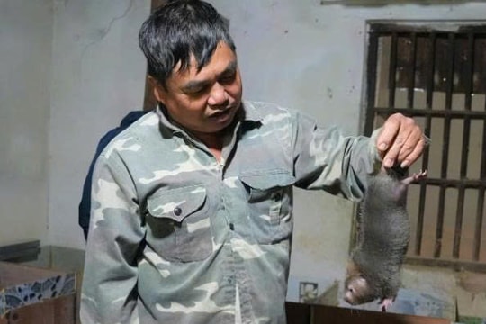 Bí quyết làm giàu độc đáo nhờ "sự tò mò" của người nông dân Nghệ An