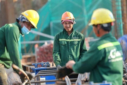 Coteccons (CTD) dự kiến thu hồi lượng lớn cổ phiếu của một lãnh đạo cấp cao vừa từ nhiệm