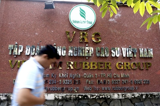 Bất chấp quý 1 làm ăn khởi sắc, cổ đông Công nghiệp Cao su Việt Nam (GVR) vẫn mất 27.000 tỷ đồng