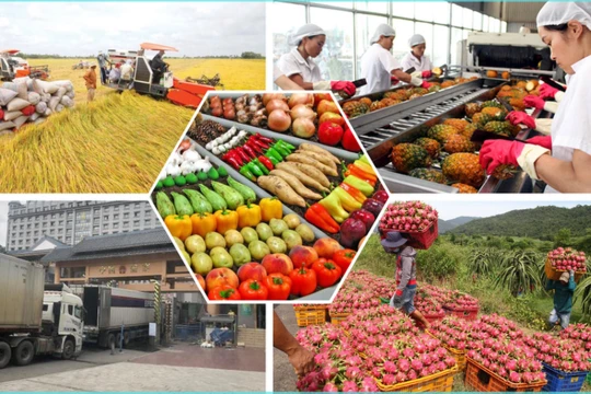 Việt Nam xuất khẩu nông, lâm, thủy sản vượt 23 tỷ USD