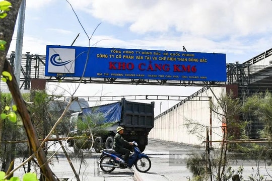 Cổ phiếu gần như "tắt" thanh khoản, Vận tải và Chế biến than Đông Bắc vẫn đều đặn trả quyền lợi cao cho cổ đông