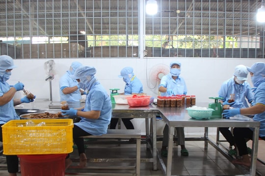 An Giang: Đưa đặc sản truyền thống vào sản xuất hiện đại, doanh nghiệp bứt tốc mở rộng đầu ra