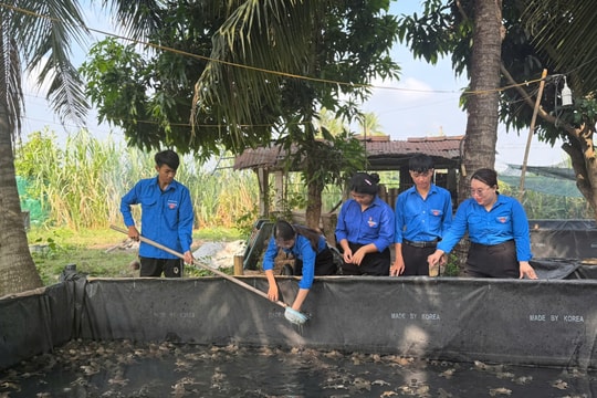 Chàng nông dân trẻ sinh năm 2008 ở Tây Ninh thu hàng chục triệu đồng mỗi tháng nhờ nuôi con "thích nhảy nhót"
