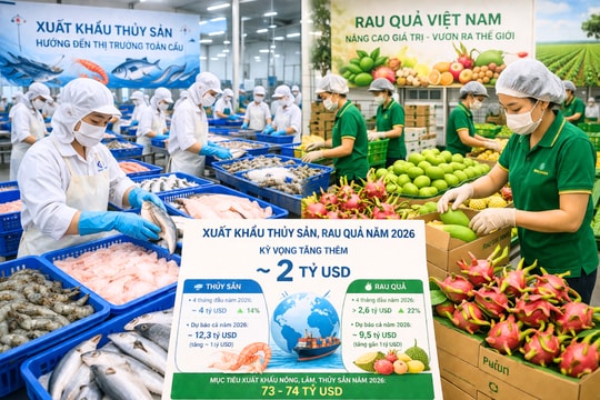 Xuất khẩu thủy sản, rau quả năm 2026: Cơ hội bứt phá thêm 2 tỷ USD