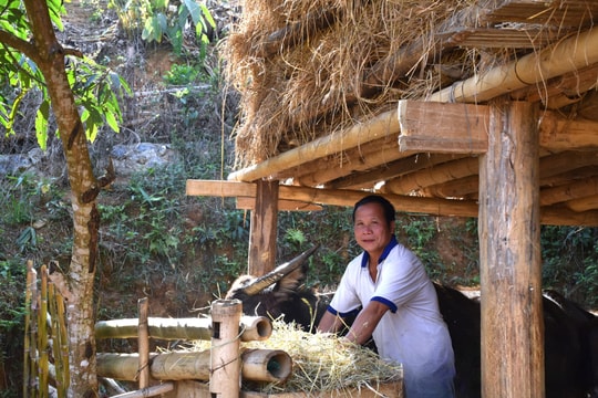 Người nông dân vừa làm kinh tế giỏi, vừa hiến hơn 100m2 đất giúp mở đường ở Điện Biên