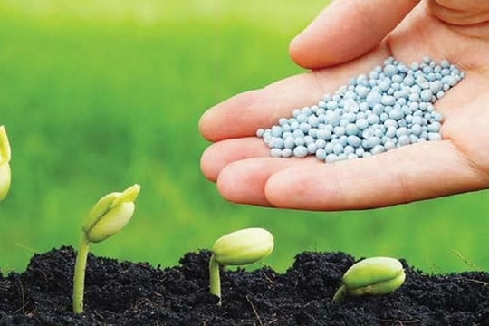 Xuất khẩu phân bón tăng vọt, riêng tháng 4 thu gần 230 triệu USD