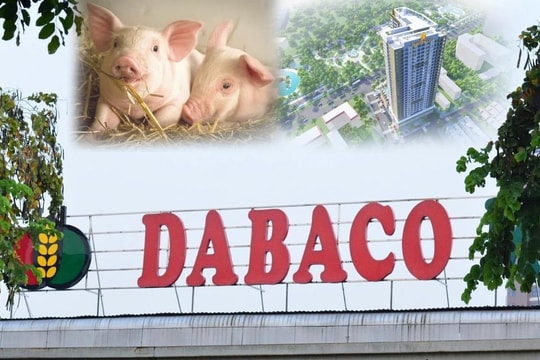 Cổ phiếu DBC đi ngang vùng thấp, Dabaco công bố kế hoạch tăng vốn lên hơn 4.310 tỷ đồng