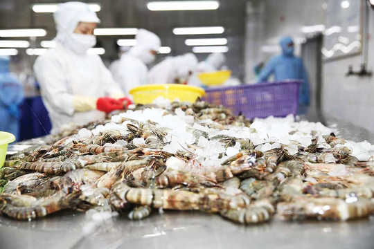 Xuất khẩu thủy sản tăng gần 15%, hướng tới mục tiêu 12 tỷ USD trong năm 2026