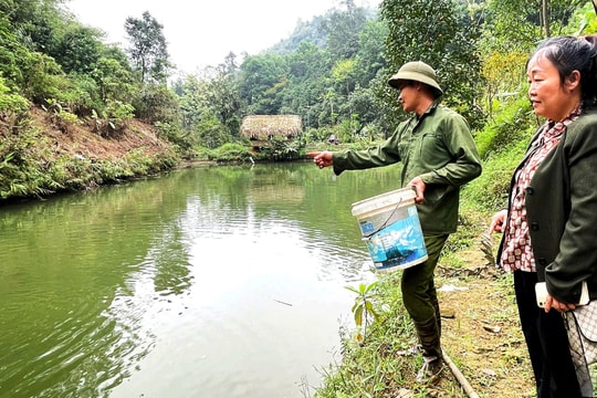 Mô hình nuôi cá trắm cỏ giúp nhiều hộ nông dân phường Bắc Kạn, tỉnh Thái Nguyên thoát nghèo bền vững