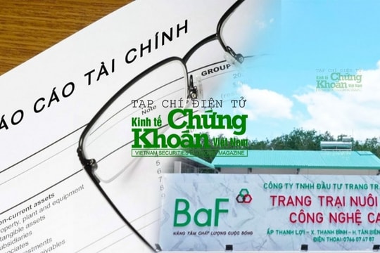 Cổ phiếu BAF trầm lắng bất chấp câu chuyện tăng trưởng lợi nhuận được đặt nhiều kỳ vọng