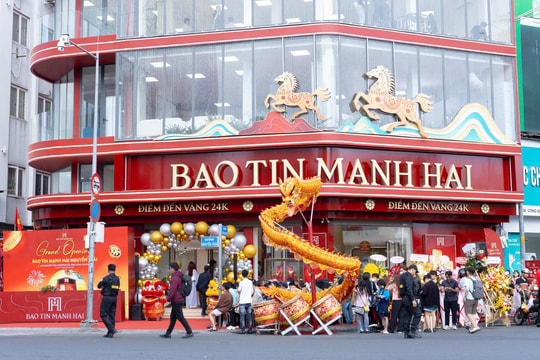 Bảo Tín Mạnh Hải chuẩn bị IPO, đặt mục tiêu niêm yết HOSE trong quý IV/2026