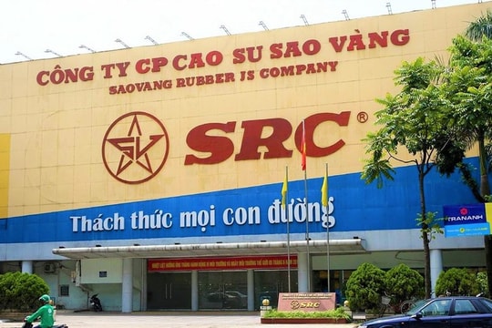 Cổ đông Cao su Sao Vàng (SRC) sắp nhận thêm cổ phiếu thưởng cùng cổ tức tiền mặt