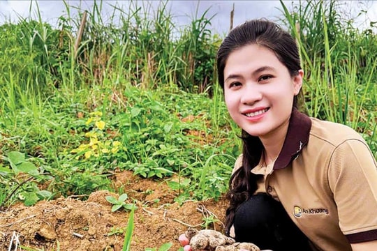 Không chọn ở lại thành phố, nữ founder xứ Nghệ về quê khởi nghiệp với “báu vật” vùng cao