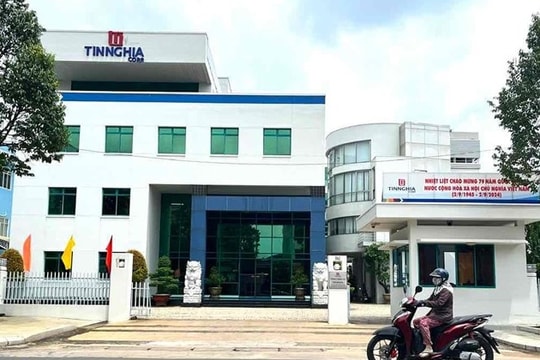 Sau năm thắng lớn, Tín Nghĩa (TID) dự chi 240 tỷ đồng trả cổ tức tiền mặt cho cổ đông
