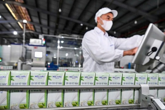 Cổ đông Mộc Châu Milk (MCM) sắp được nhận 110 tỷ đồng tiền cổ tức năm 2025