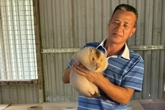 Nông dân Quảng Ninh phát triển mô hình "đặc sản", cho hiệu quả kinh tế vượt trội